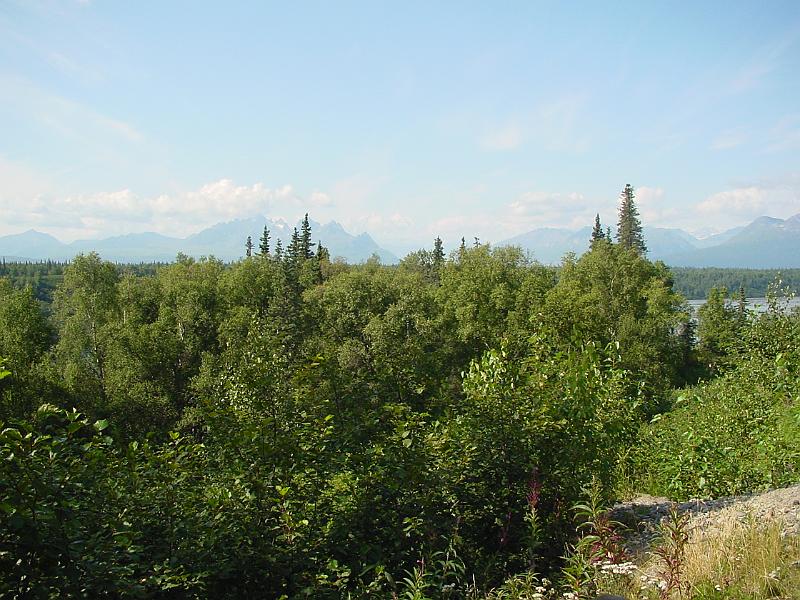 Picture 010